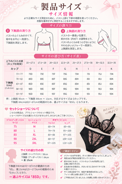 大きいサイズ レディース フラワー刺繍脇高フルカップブラ＆ショーツセット 75-95DEFGHIJK