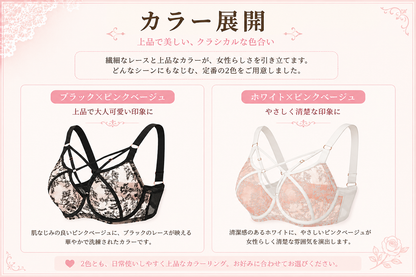 大きいサイズ レディース 美胸シルエットサポートメッシュフルカップブラジャー＆ショーツセット 75-100DEFGHIJ
