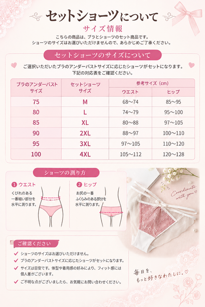 大きいサイズ レディース 美胸シルエットサポートメッシュフルカップブラジャー＆ショーツセット 75-100DEFGHIJ